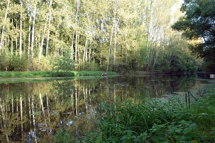 Fraîcheur et déconnexion dans la Vallée du Hâvre - OUDON