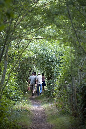 Fraîcheur et déconnexion dans la Vallée du Hâvre - OUDON