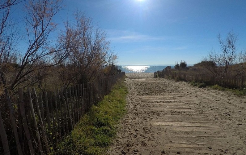 Portiragnes-Plage_-_E_Brendle_4