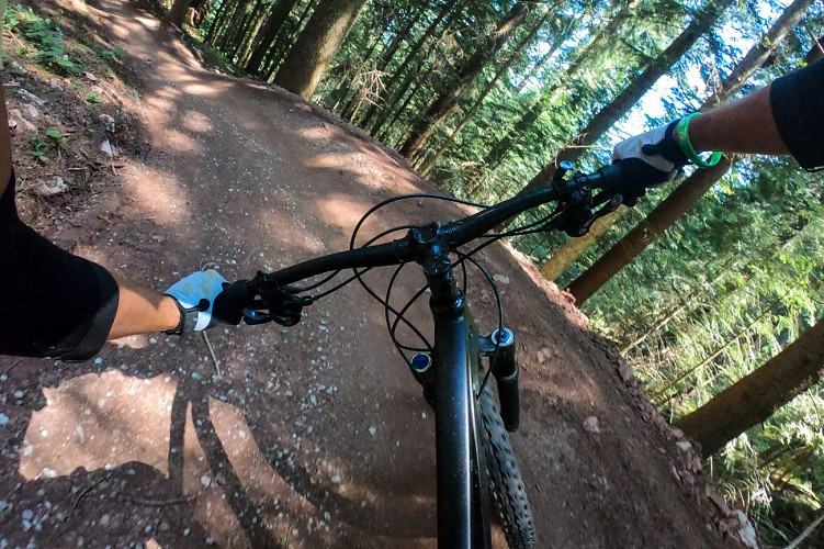 VTT