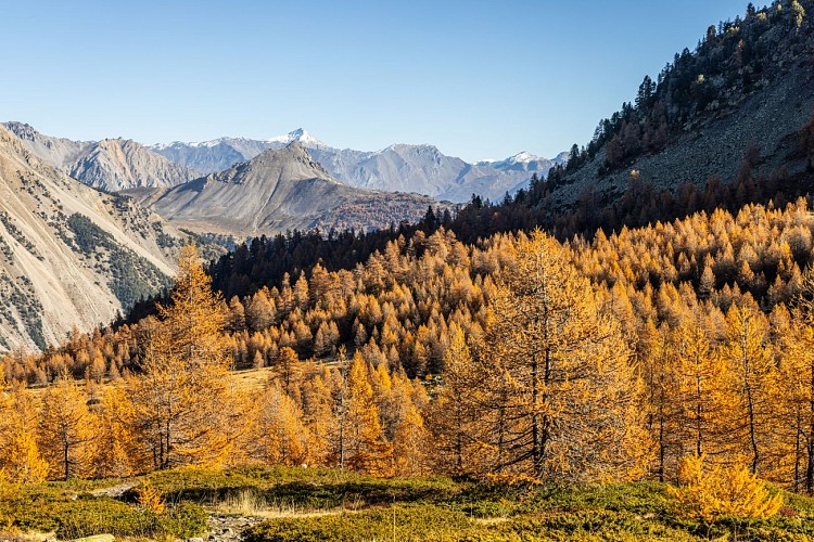 Lac de Cristol_Névache