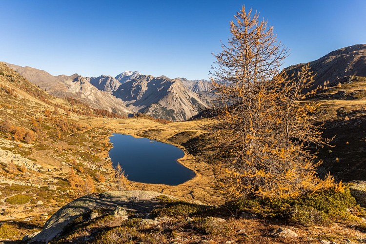 Lac de Cristol_Névache