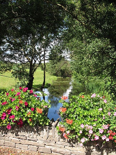 CHAMPTOCE-SUR-LOIRE - 10 - AU FIL DE LA LOIRE