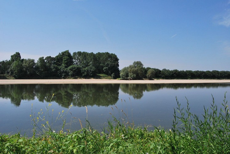 CHAMPTOCE-SUR-LOIRE - 10 - AU FIL DE LA LOIRE