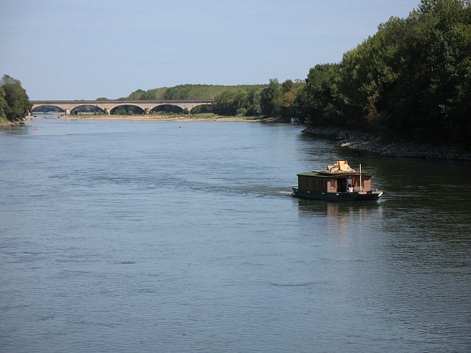 CHAMPTOCE-SUR-LOIRE - 10 - AU FIL DE LA LOIRE