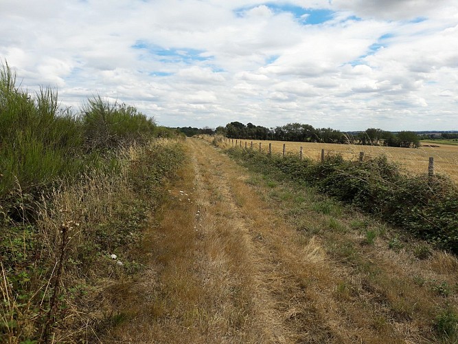 SENTIER DU ROY À CARBAY