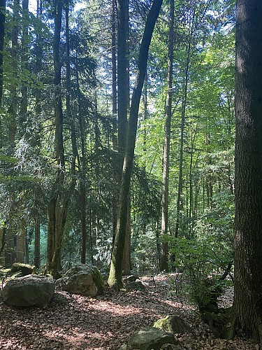 Hiking on the Bacounis trail