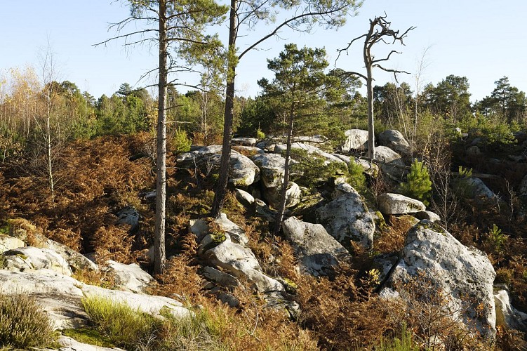 Rock art discovery trail