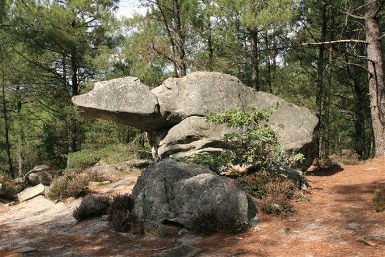 Rock art discovery trail