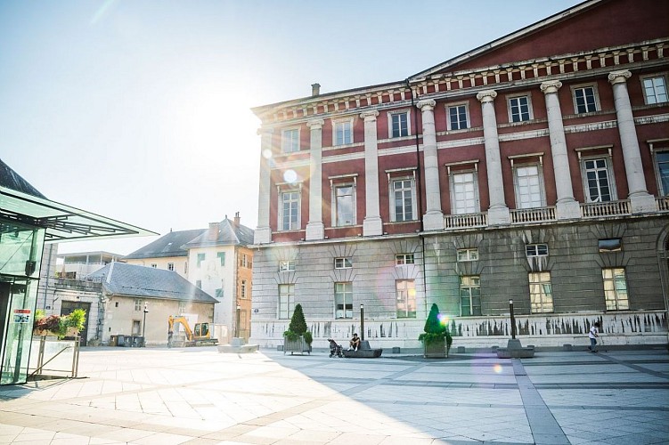 Comfort Tour: De olifanten volgen