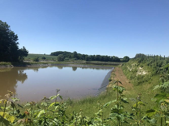 Sentier du tour de Bucquoy
