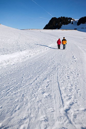 Snowshoeing itinerary - Crête des Mémises- Thollon-les-Mémises