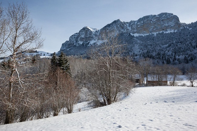 Schneeschuhwanderungen – Alpage de Lain – Thollon-les-Mémises