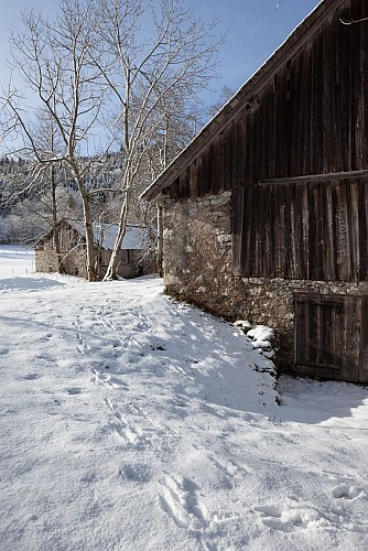 Schneeschuhwanderung – Alpage de Lain – Thollon-les-Mémises
