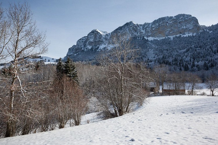 Snowshoeing itinerary - Alpage de Lain - Thollon-les-Mémises