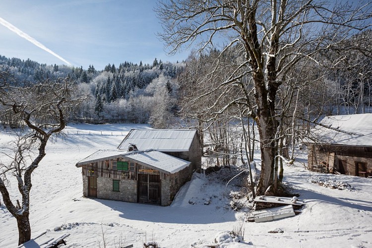 Snowshoeing itinerary - Alpage de Lain - Thollon-les-Mémises