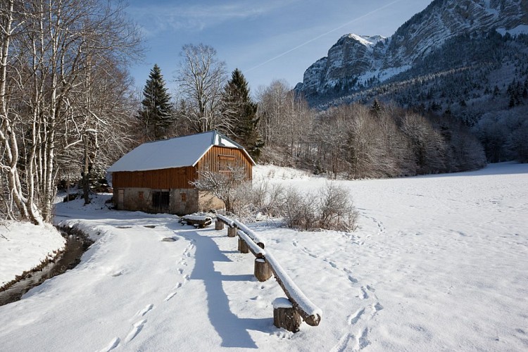 Sneeuwschoenroute: De alpenweide van Lain