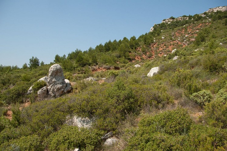 Sentier découverte de l'oppidum - Montagne Sainte-Victoire (Grand site de France)