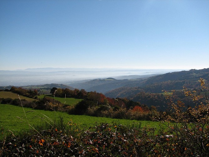 Plaine et Monts du Forez