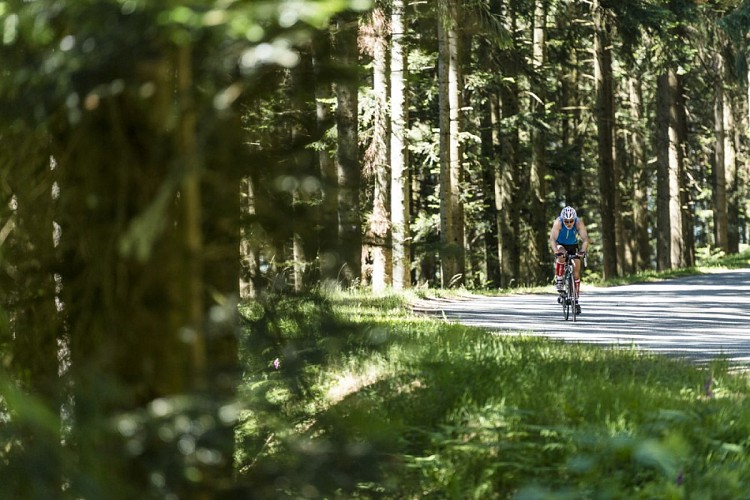 Le Beaujolais Vert - La Forêt de la Pyramide - Boucle 3.2
