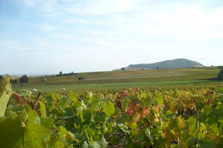 Le Beaujolais - Les crus du Beaujolais - Boucle 5.1