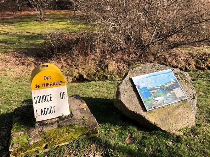 Source Agout