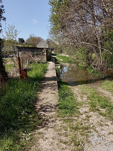 Passage à gué sur Laizon