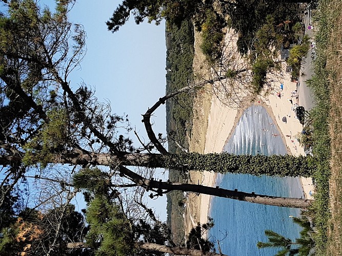 SCAVENTURE Circuit Emeraude Plus