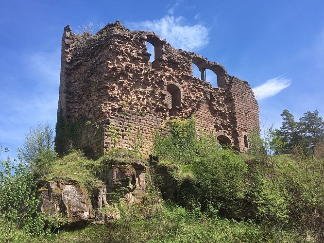 Randos 3 frontières: Mont Sainte Odile 67