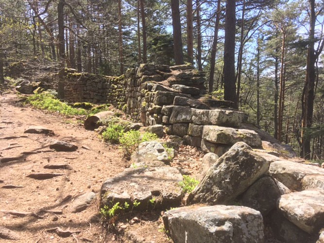 Randos 3 frontières: Mont Sainte Odile 67