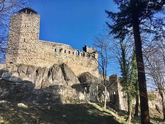 Rando 3 Frontières: Dieffenthal 67