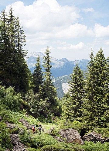 Alpenweide Morzinette vanaf Avoriaz via La Chèvrerie des Ardoisières