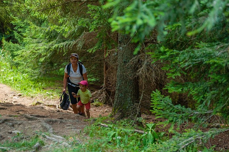 Chalets de la Fullie