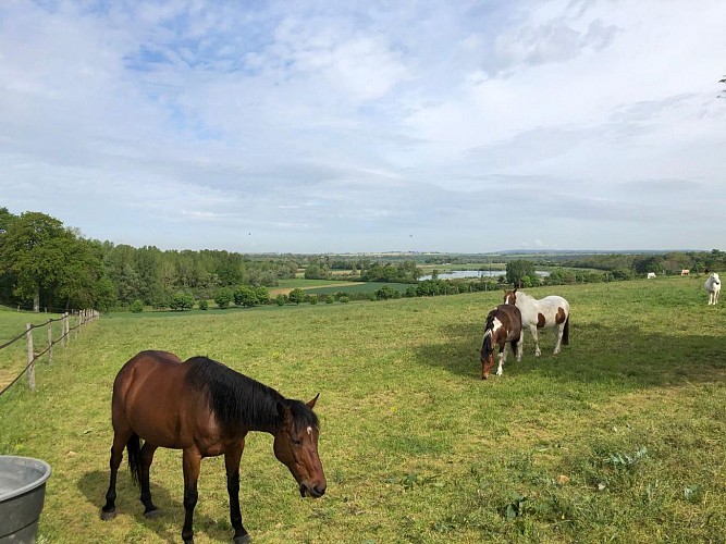 point de vue à Lesches