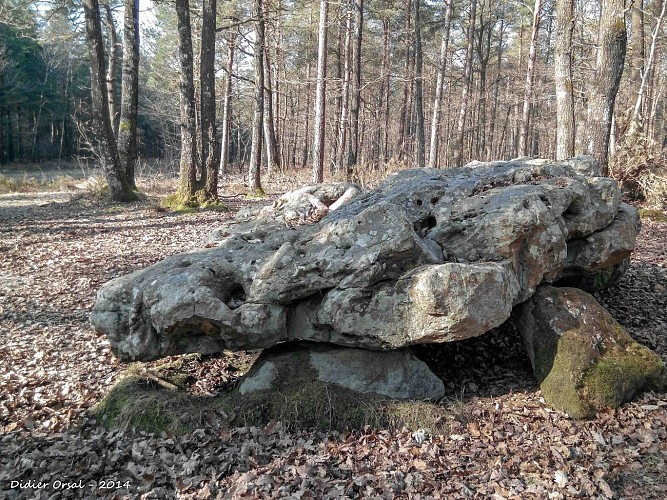 La Clairière de Saint-Laurent 16,0 Km