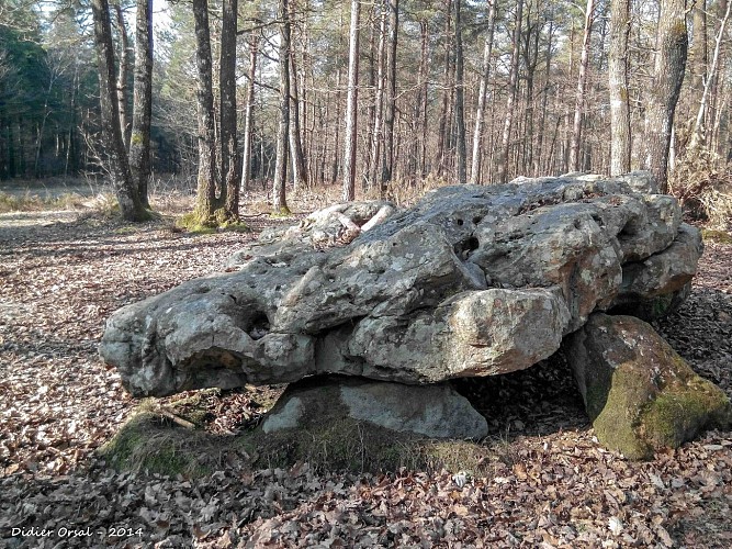 La Clairière de Saint-Laurent Variante 12 Km