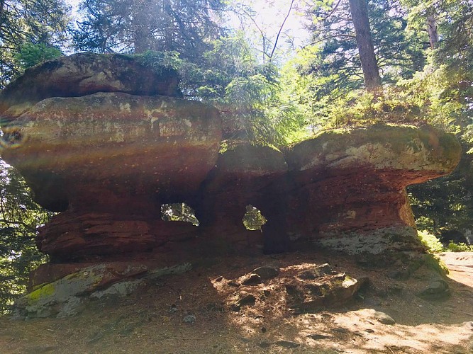 Randos 3 Frontières: Le Taennchel depuis Tannenkirch 68