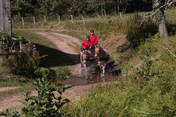 Le Gué de Culoiseau 6,6 Km