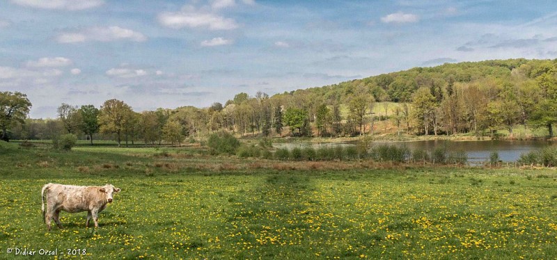 Le Gué de Culoiseau 6,6 Km