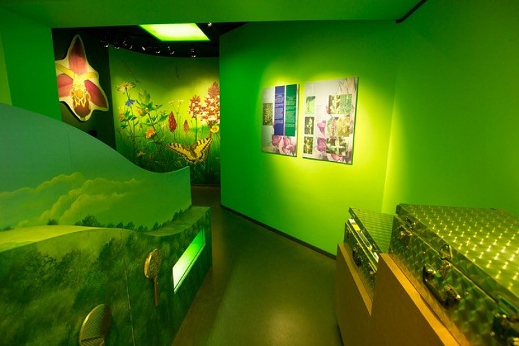 Montage St Pierre-Balade verte-Maison Montagne St Pierre