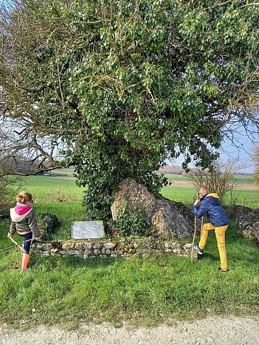 Randonnée à Thoré-la-Rochette