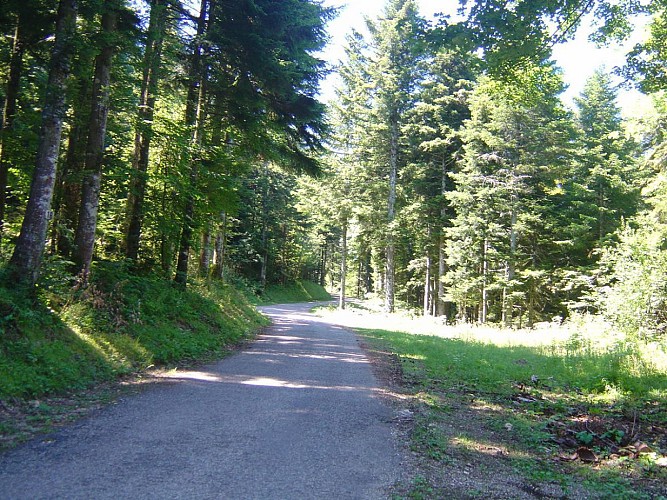 Du Camping les 12 Cols au Grand Colombier par Culoz