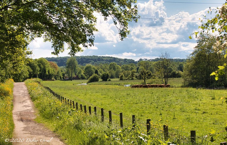 Les Chemins de l'histoire 12,0 Km