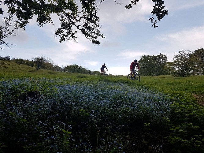 Circuit VTT FFC - Hauteville La Praille - Vert