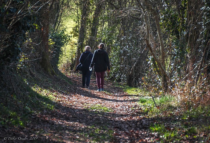 Les Panoramas 5,5 Km