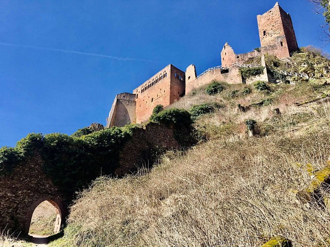 Rando 3 Frontières: Ribeauvillé et les 3 châteaux