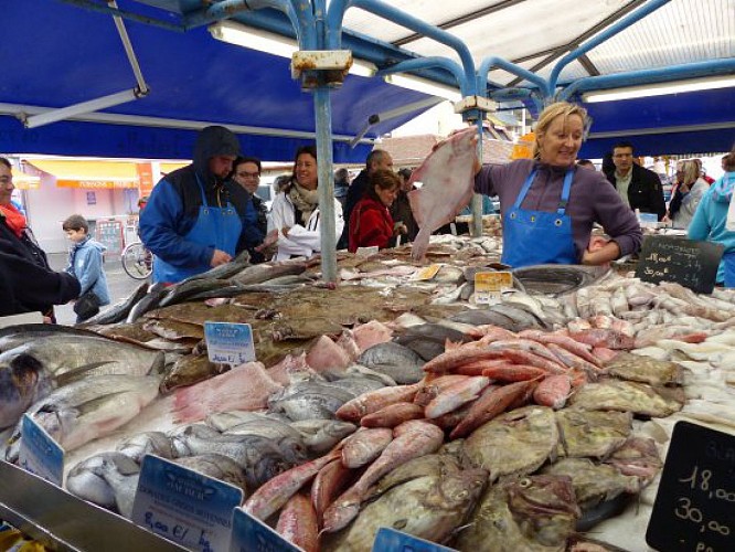60min (19km aller/retour) - Port de pêche et son marché à poissons - Départ Luc-sur-mer
