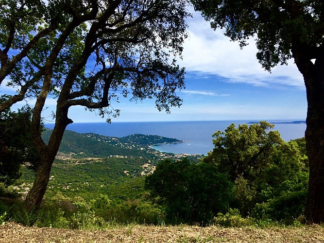 Hiking - Les Balcons de Cavalière