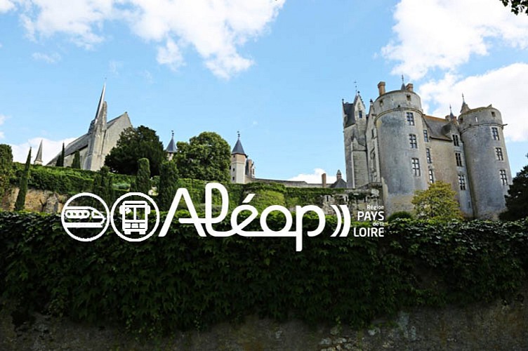 De SAUMUR à MONTREUIL-BELLAY en 1 jour
