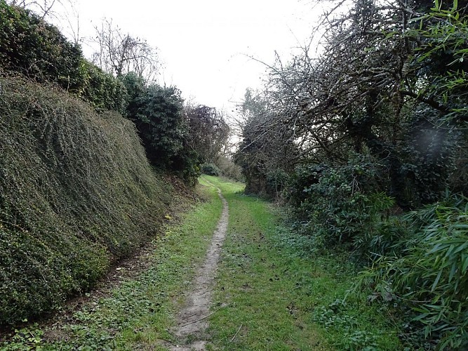 De SAUMUR à MONTREUIL-BELLAY en 1 jour